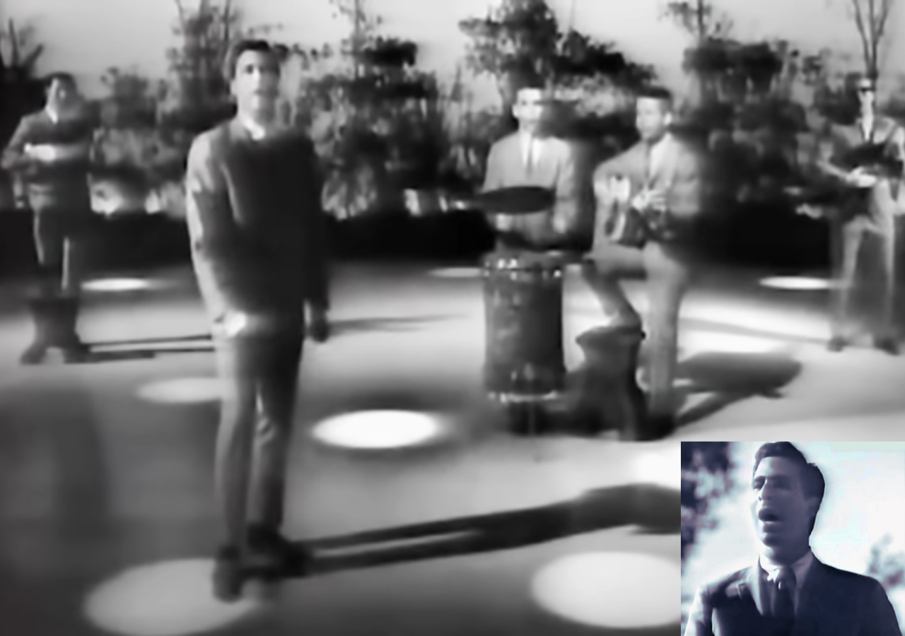 A Perfect Song for Any Occasion: Celebrate Life with “The Lion Sleeps Tonight”